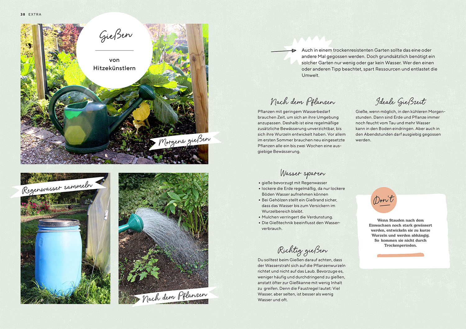 hitzek-nstler-gartenbuch-klimafit-ziergarten-ratgeber image 4